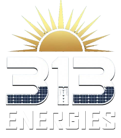 313Energies